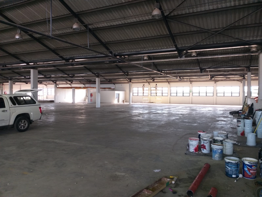To Let Commercial Property for Rent in Paarden Eiland Western Cape